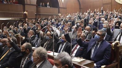 الشيوخ يوافق على سفر النواب للخارج بمجرد الإخطار مع أحقية رئيس المجلس في الاعتراض