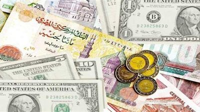 حركة أسعار العملات بنهاية تعاملات اليوم الأحد 29 - 11 - 2020