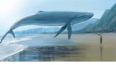 تفسير حلم رؤية الحوت في المنام وعلاقته بالهم والحزن والمشاكل الزوجية