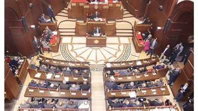 تعرف على تشكيل اللجنة العامة لمجلس الشيوخ واختصاصاتها