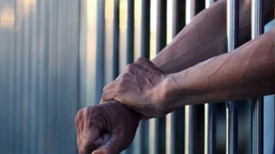 التحقيقات في واقعة الطعن بطوخ: المتهم خريج كلية علوم.. وأسرته حاولت علاجه أكثر من مرة