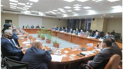 جمعية رجال الأعمال المصريين: وزير المالية استجاب لمطالب القطاع الخاص   