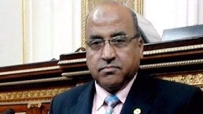 برلمانى يطالب باتخاذ التدابير لحماية القرى الملاصقة للجبال ومجرى السيول بصعيد مصر
