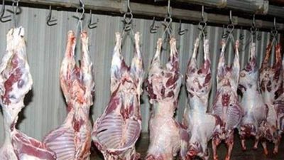 أسعار اللحوم البلدية والمجمدات خلال ديسمبر