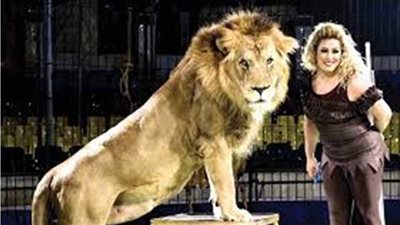 فاتن الحلو تكشف تفاصيل  وفاة الأسد 