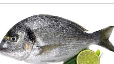 تفسير حلم شراء السمك في المنام وعلاقته بالمرض الشديد