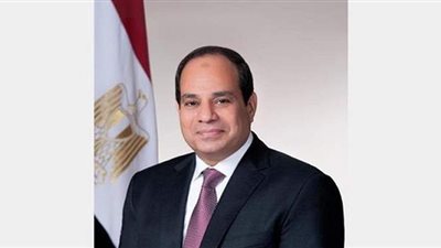 السيسي يتابع تطوير شركتي 