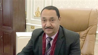 برلماني: تطبيق القانون على المخالفين يضمن الالتزام بمواعيد غلق المحلات