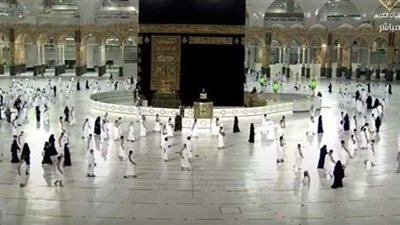 السياحة توضح حقيقة بدء تنظيم رحلات تفويج العمرة للسعودية