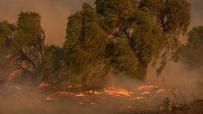 رئيسة وزراء نيوزيلندا تعلن حالة الطوارئ المناخية