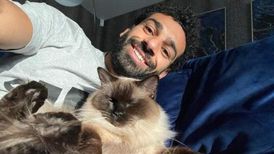 محمد صلاح  معلقا على فيديو له مع قطته السيامي: 