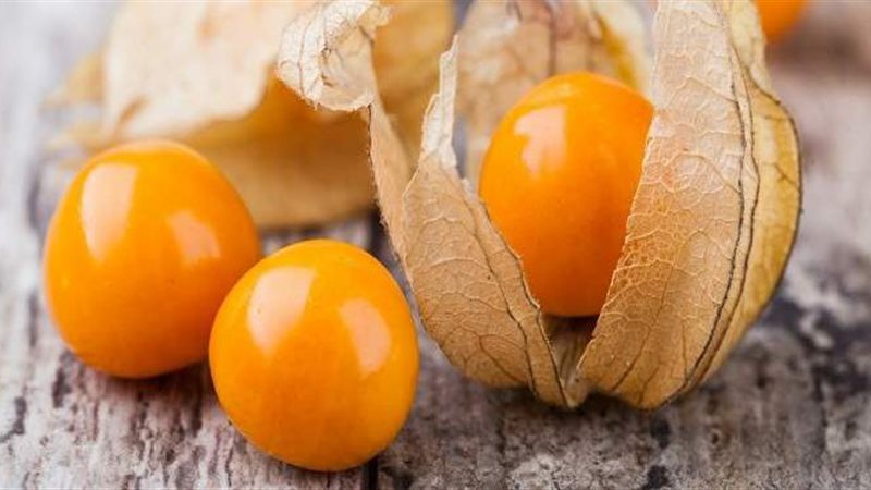 فوائد وأضرار الحرنكش