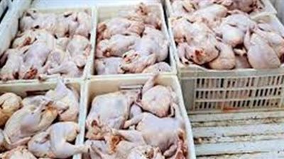 القبض على صاحب ثلاجة بحوزته دواجن فاسدة في القاهرة