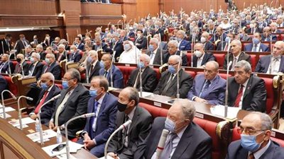 تعرف على سبب عدم تحديد موعد لجلسة الشيوخ المقبلة