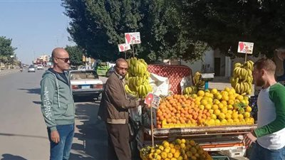 إزالة 12 بائعًا متجولاً من شوارع حي ثالث في الإسماعيلية | صور