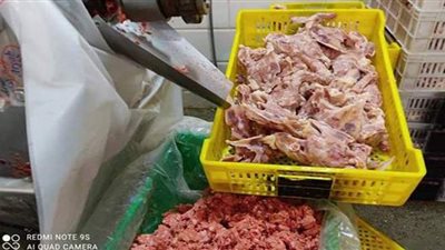 ضبط كميات كبيرة من هياكل الدجاج بالإسماعيلية | صور