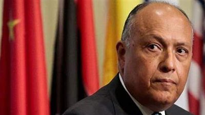 مصر وألمانيا تتمسكان برفض التدخلات الأجنبية في ليبيا