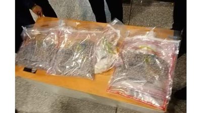 ضبط أقراص مخدرة بـ٤ ملايين جنيه بحوزة راكبة فرنسية قادمة من تركيا