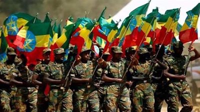 مداهمة الجراد.. السر وراء استعانة إثيوبيا بإسرائيل في حربها على إقليم تيجراي