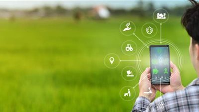 مصادر تكشف تفاصيل جديدة عن ري الأراضي الزراعية عبر تطبيق إلكتروني بـ