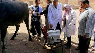 بيطري الشرقية: مسح تناسلي شامل لـ 4 آلاف و208 رؤوس ماشية