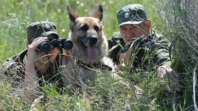 3  مسلحين يحاولون اختراق الحدود الروسية من أوكرانيا