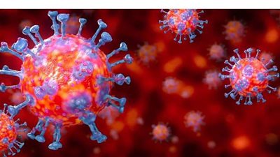 بدران: مصر مهددة بتفاقم أعداد المصابين بكورونا