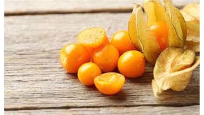 فئات ممنوعة من الحرنكش
