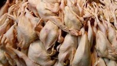 ضبط طن دهون وهياكل دجاج فاسدة في مطعم شهير بجوار محطة مصر