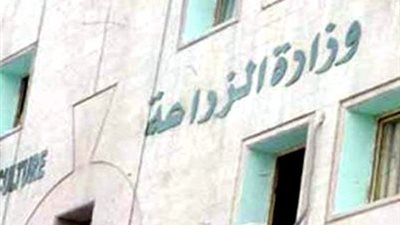 «الزراعة»: استلام 2.3 مليون طن قمح على مستوى الجمهورية