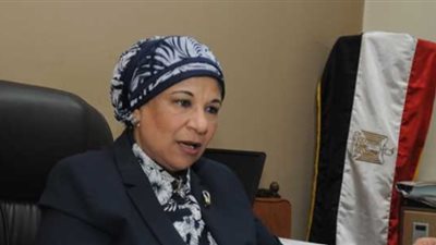 سامية حسين: لن يتم مد مهلة سداد الضرائب العقارية مرة أخرى