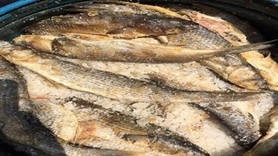 أستاذ باطنة يكشف خطورة عملية «التفسيخ» على الإنسان