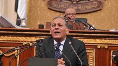 «السادات» يقترح تخصيص 3% من حصيلة الضرائب لتطوير المنظومة الضريبية