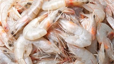 أسعار 11 نوعا من الأسماك والجمبري الجامبو يسجل 400 جنيه للكيلو