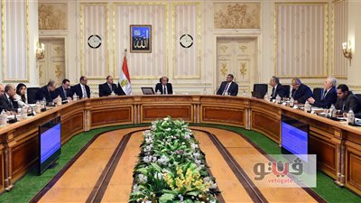 لجنة تنقية البطاقات التموينية: ١٩ مليون مستفيد بياناتهم غير صحيحة