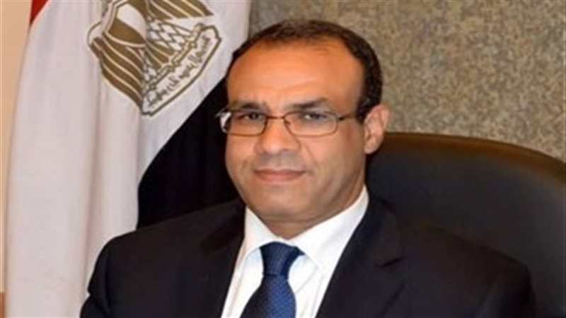 السفير بدر عبدالعاطى،