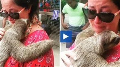 بالفيديو والصور.. رد فعل امرأة تحمل حيوان الكسلان لأول مرة