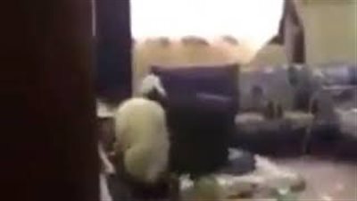 بالفيديو.. رد فعل نساء لحظة اقتحام خروفين المنزل عليهن