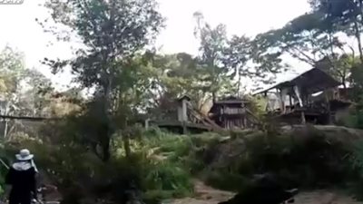 هجوم لفيل ثائر على فوج سياحي في تايلاند (فيديو)