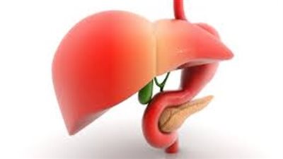 4 أطعمة تطهر الكبد من السموم نهائيا