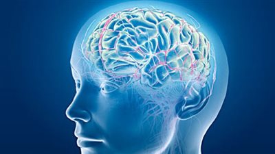 الناظر: قلة شرب الماء تؤدي إلى جلطات المخ وضعف القدرة على الإنجاب