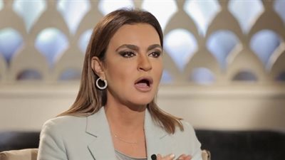 «الاستثمار» تعدل قوانين شركات المساهمة والتوصية بالأسهم والشخص الواحد