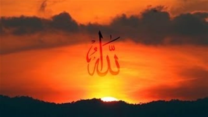 فيتو