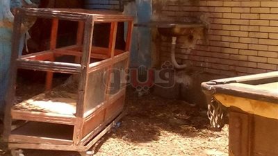 بائع يحول مدرسة شبرا الخيمة الصناعية الجديدة إلى مطعم (صور)