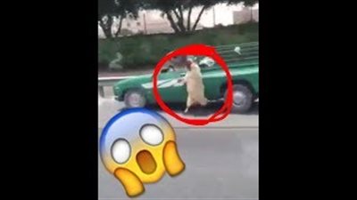 بالفيديو.. محاولة فاشلة لهروب خروف من داخل سيارة صاحبه