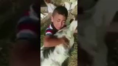 شاهد.. رد فعل مؤثر لطفل لحظة ذبح الأضحية
