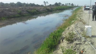 مصدر أمني: ترعة الإسماعيلية خالية من التماسيح