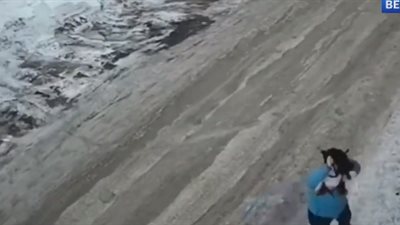 إصابة امرأة دافعت عن كلبها من هجوم شرس (فيديو)