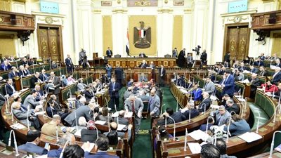 «حقوق الإنسان» بالبرلمان تنتقد المنظمات المشككة في الانتخابات