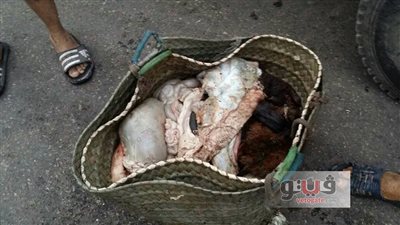 بالصور.. حملة لرفع مخلفات الذبح في بورسعيد